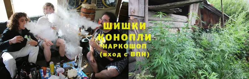 купить наркотики цена  Александров  Конопля White Widow 